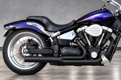 Yamaha RS Warrior / MT-01 Monster Pro Exhaust System